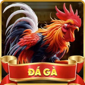 Hotline hỗ trợ Slot888